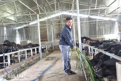 Hòa Sơn đầu tư hạ tầng,   đẩy mạnh xây dựng nông thôn mới