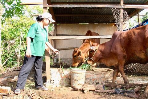Buôn Trăp có thêm cơ hội giảm nghèo