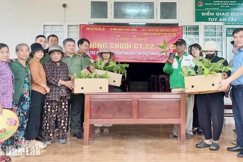 Trao 10.000 cây chuối giống hỗ trợ bà con khôi phục sản xuất