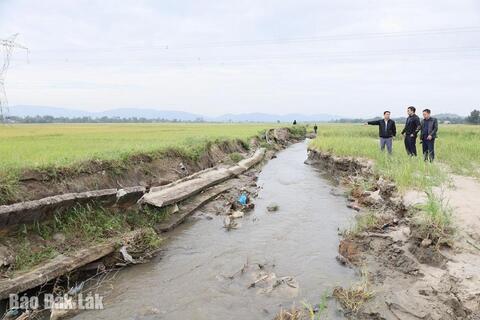 Tập trung khôi phục sản xuất vụ Đông Xuân 2025 – 2026
