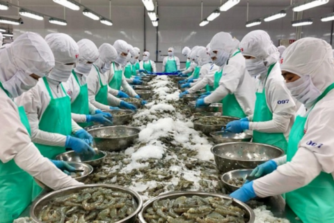 Thủy sản Việt Nam thâm nhập vào thị trường Israel