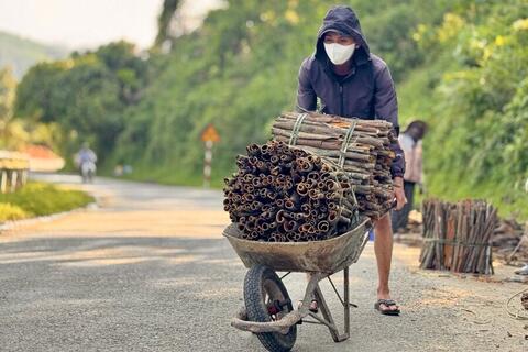 Quảng Ngãi: Phát triển dược liệu gắn chế biến sâu, du lịch sinh thái