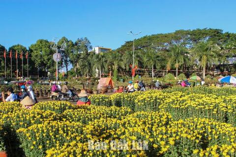 Tổ chức nhiều hoạt động đón Tết Nguyên đán Bính Ngọ