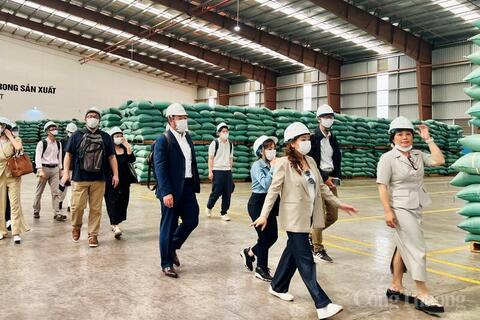 Để cà phê Việt không chỉ nhiều mà còn mạnh trên thị trường xuất khẩu