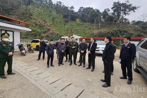 Hải quan ra văn bản chỉ đạo ưu tiên thông quan với thực phẩm nhập khẩu