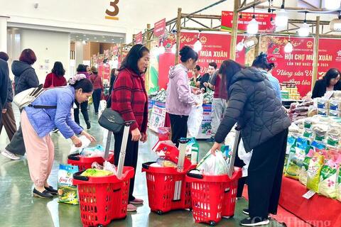 Hội chợ Mùa Xuân vào cửa tự do, gửi xe miễn phí