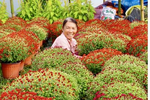 Vĩnh Long: Thị trường hoa kiểng cao điểm, nguồn cung sẵn sàng dịp Tết