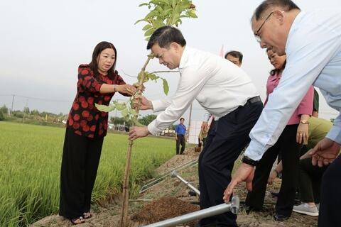 Cần Thơ phát động Tết trồng cây, kỳ vọng vụ lúa Đông Xuân thắng lợi