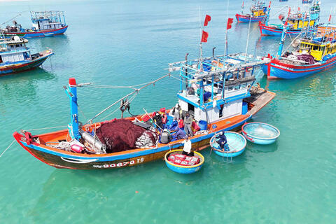 Quảng Ngãi: Những chuyến đi biển đầu năm đầy ắp cá, ngư dân phấn khởi