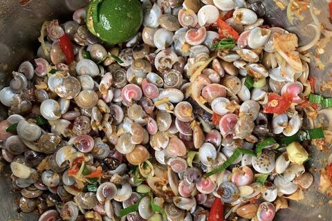 Đà Nẵng: Ốc lễ được giá, ngư dân tất bật từ sớm