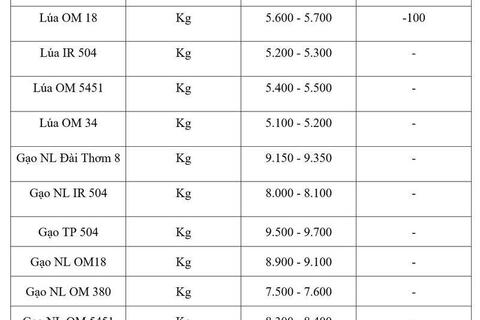 Giá lúa gạo hôm nay ngày 25/3: Lúa tươi giảm nhẹ