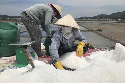 Quảng Ngãi: Giá muối tăng kỷ lục, diêm dân Sa Huỳnh phấn khởi