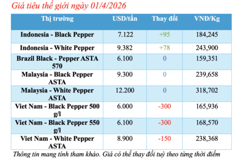 Giá tiêu hôm nay 01/4/2026: Sụt giảm mạnh 2.000 đồng/kg