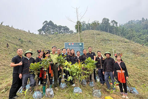 Sùng A Cải: Từ trồng rừng đến tạo sinh kế cho người dân vùng cao