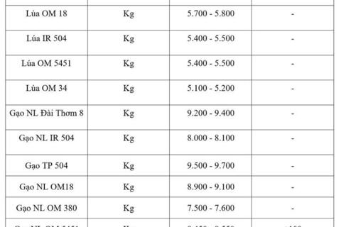Giá lúa gạo hôm nay ngày 3/4: Gạo nguyên liệu xuất khẩu tăng nhẹ