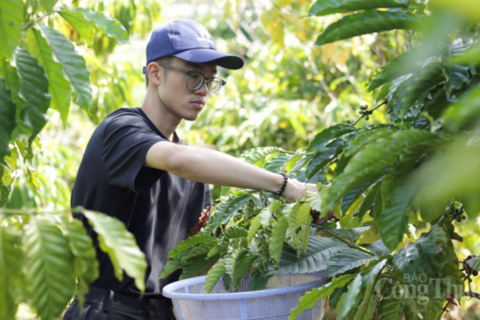 Thái Nguyên ‘nâng tầm’ sản phẩm công nghiệp nông thôn