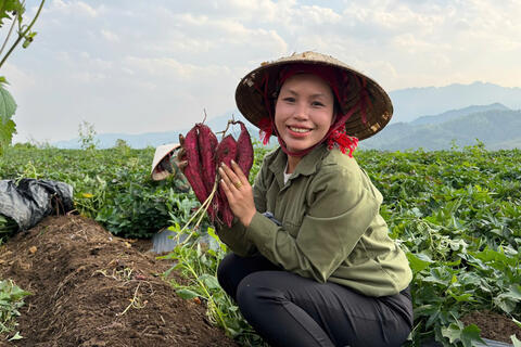 Cô gái Hà Nội kể câu chuyện sản phẩm của bản làng qua TikTok Shop