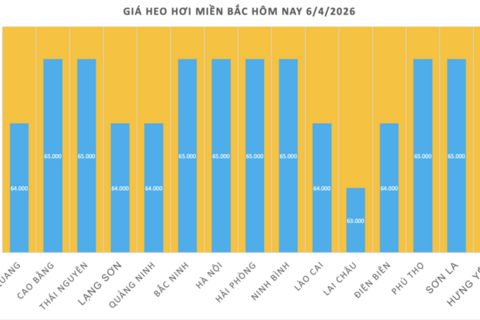 Giá heo hơi hôm nay 6/4/2026: Tăng nhẹ tại miền Bắc, miền Trung