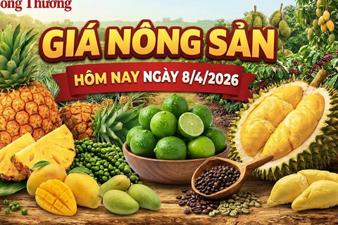 Giá nông sản hôm nay 8/4: Giá chanh tăng mạnh, cà phê thế giới giảm
