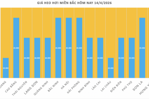 Giá heo hơi hôm nay 14/4/2026: Tiếp tục neo cao