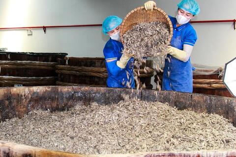 Xây dựng chuỗi thực phẩm sạch, nâng tầm nông sản Việt