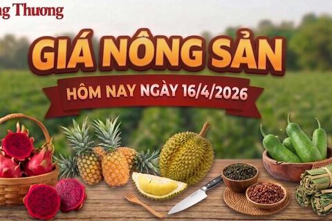 Giá nông sản hôm nay 16/4/2026: Nhiều mặt hàng biến động mạnh