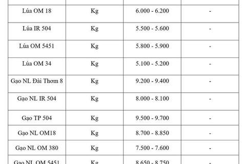 Giá lúa gạo hôm nay ngày 17/4: Gạo thơm xuất khẩu tăng 15 USD/tấn