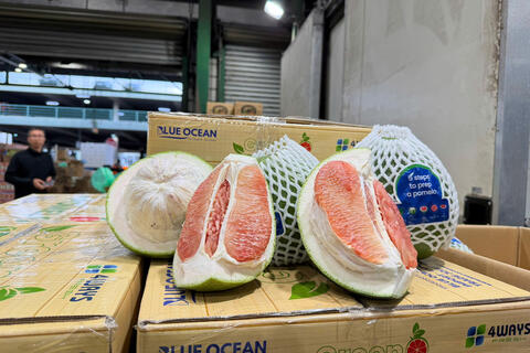 Thông quan lô bưởi tươi đầu tiên bằng đường hàng không vào Australia