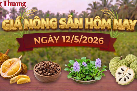 Giá nông sản hôm nay ngày 12/5: Nhiều mặt hàng giữ giá cao