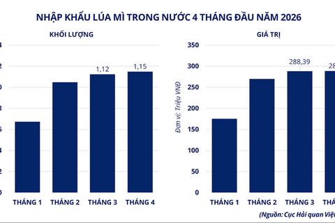 Giá lúa mì tăng vọt, nguồn cung từ Mỹ xuống thấp nhất hơn nửa thế kỷ