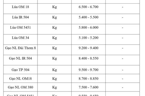 Giá lúa gạo hôm nay ngày 20/5/2026: Gạo xuất khẩu tiếp đà tăng mạnh