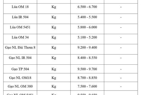 Giá lúa gạo hôm nay ngày 21/5/2026: Thị trường 'lặng sóng'