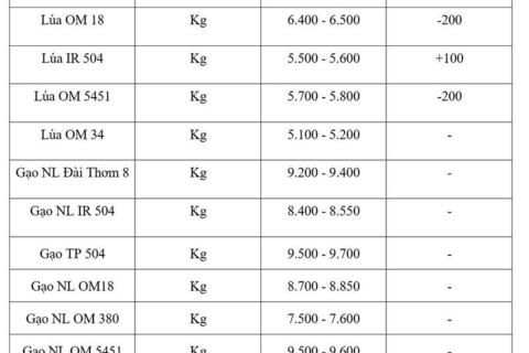 Giá lúa gạo hôm nay ngày 29/5/2026: Lúa tươi biến động trái chiều