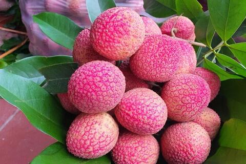 Giá nông sản hôm nay, ngày 1/6: Giá vải u trứng tăng mạnh