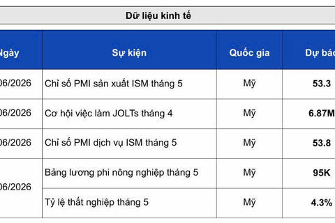 Giá bạc thế giới giảm trước nhiều biến động