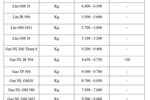 Giá lúa gạo hôm nay ngày 2/6/2026: Gạo nguyên liệu xuất khẩu tăng nhẹ