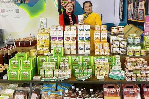 Thúc đẩy áp dụng tiêu chuẩn quốc gia tại Lào Cai