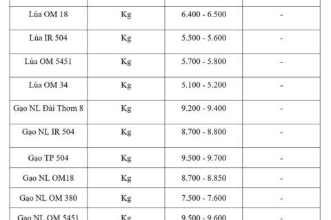 Giá lúa gạo hôm nay ngày 11/6/2026: Gạo nguyên liệu xuất khẩu giảm