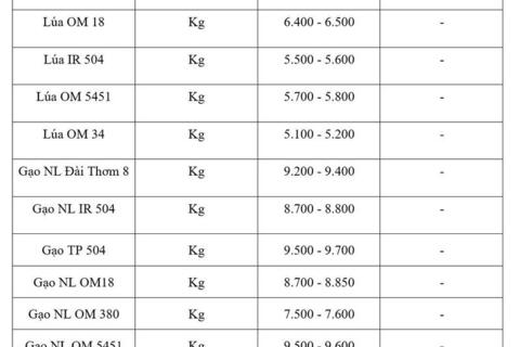Giá lúa gạo hôm nay ngày 15/6/2026: Tấm thơm giảm nhẹ