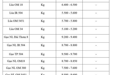 Giá lúa gạo hôm nay ngày 17/6/2026: Thị trường lặng sóng