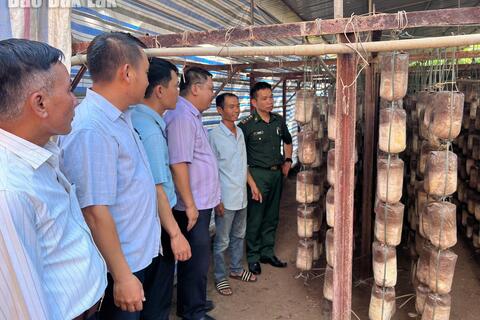 Đồn Biên phòng Cửa khẩu Đắk Ruê ra mắt mô hình trồng nấm giúp dân phát triển kinh tế