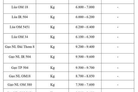 Giá lúa gạo hôm nay ngày 27/7/2026: Tấm thơm tăng nhẹ