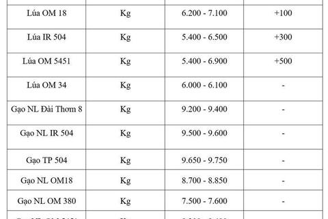 Giá lúa gạo hôm nay ngày 31/7/2026: Lúa tươi đồng loạt tăng