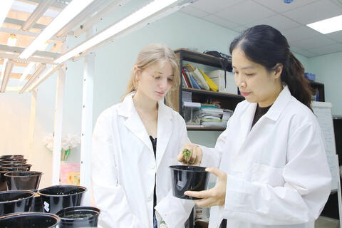9 đặc trưng cơ bản của đại học tinh hoa