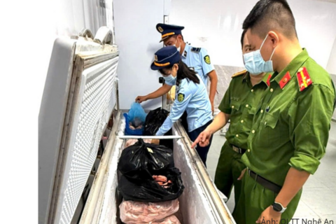 Quản lý thị trường Nghệ An tăng cường kiểm tra, xử lý vi phạm an toàn thực phẩm