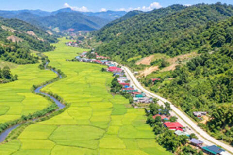 Tết Khẩu Hó ở Mường Nhà: Hạt lúa ấm tình người, tình đất