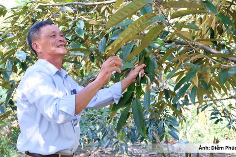 Đà Nẵng: Đảng viên tiên phong đưa Chương trình mục tiêu quốc gia vào thực tiễn