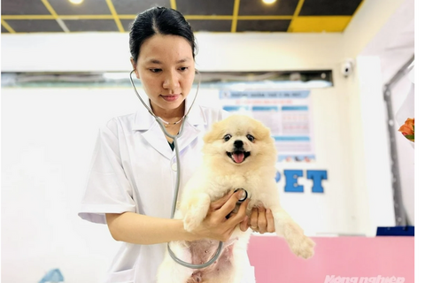 Ngành thú cưng tìm dư địa tăng trưởng từ hệ sinh thái dịch vụ
