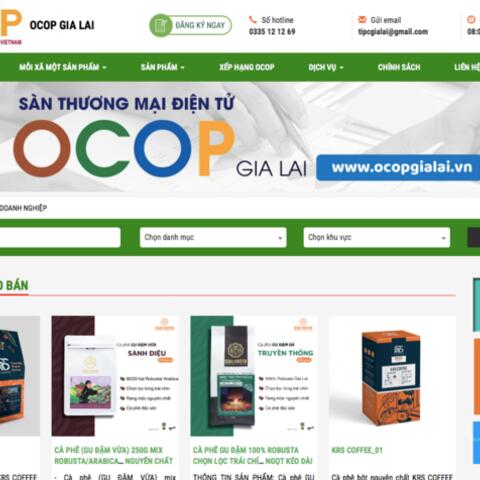 Thương mại điện tử mở lối cho nông sản Gia Lai vươn tầm