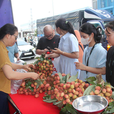 Tuần lễ vải thiều Bắc Giang: Đưa đặc sản vào khu công nghiệp